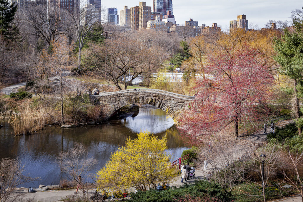 irage d'art paysage printemps reflets nature calme - Central Park - New York
